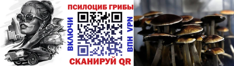 Галлюциногенные грибы Cubensis Нефтекумск