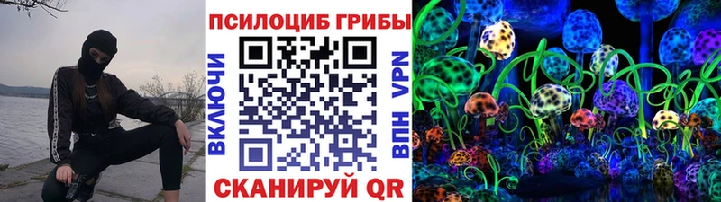 Псилоцибиновые грибы мухоморы  магазин  наркотиков  мега ссылки  Нефтекумск 